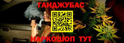 прущие крисы Славгород